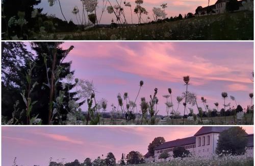 Unterpremstaetten Bed & Breakfast | Haus Steirer am Kaiserwald