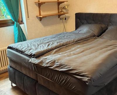 Stadtkyll House | Haus Tierlieb