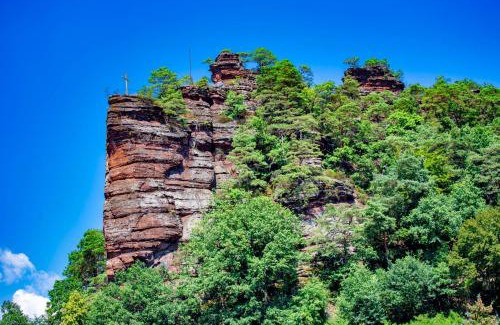 Dahn Apartment | Haus Zwölf