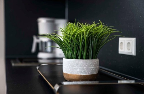 Laasow Apartment | Hausboot für 4 Gäste mit 45m² in Vetschau/spreewald