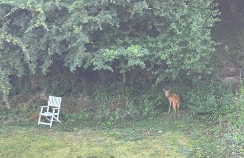 Hermelinghen House | Havre de Paix