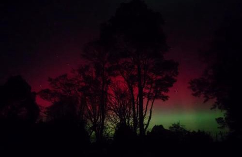 Dunedin House | Height of Dunedin Serviced Farm Stay