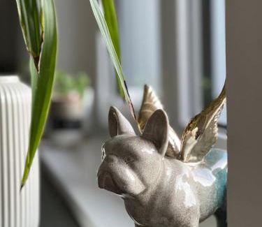 Linz Apartment | Helle Wohnung in Top Lage!