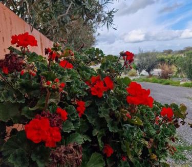 Aldeia dos Palheiros Villa | Herdade Monte Gordo