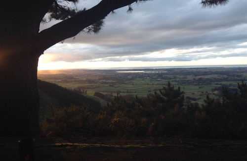 Koputaroa Cabin | Hermits' Hideawayn - A rustic, off grid cabin in the woods