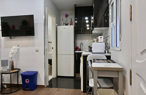 Numancia Apartment | HERMOSO APARTAMENTO TIPO ESTUDIO EN MADRID SFL5