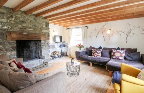 Llandeilo House | Heron House