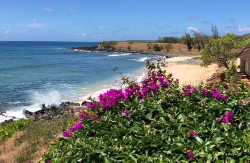 Ualapue Apartment | High-End Resort Condo Nestled on Molokai Shoreline