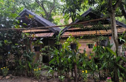 Mae Yao House | Hill Tribe Art House (Lahu & Akha Homestay)