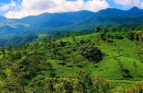 Kunnathidavaka Apartment | Hillway Boutique Resort