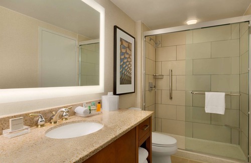 Near North Side Hotel | Hilton Chicago/Magnificent Mile Suites
