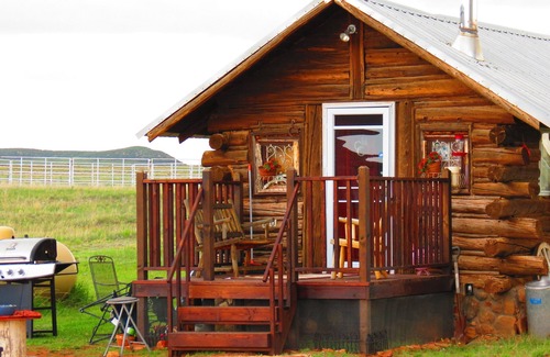 Livermore Cabin | Historic Cabin with Hot tub, Sauna