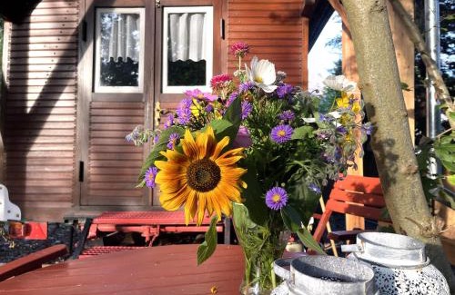 Ziegenhagen Other | Historischer Zirkuswagen mit Terrasse und Blick ins Grüne