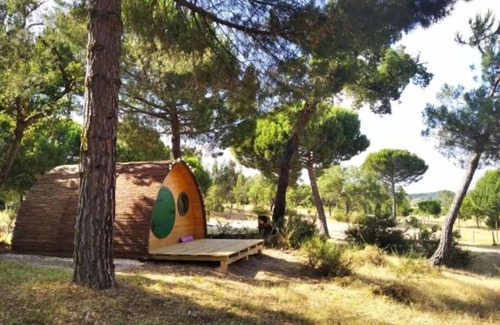 Vale de Mulheres House | Hobbit House - Quinta Alada