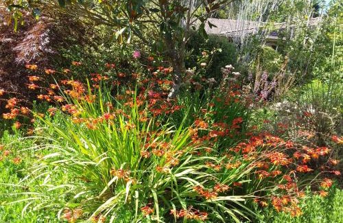 Woodend North Bed & Breakfast | Hobreid Park