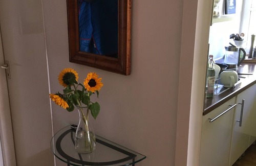 Steglitz-Zehlendorf Condo | Hochwertige Wohnung in Berlin-schlachtensee