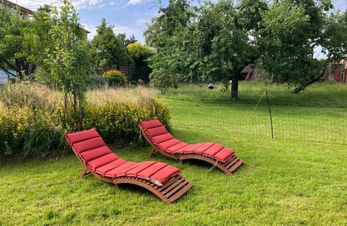 Bergenhusen Apartment | Hof Appelbue - Urlaub in zwei Ferienwohnungen im Storchendorf Bergenhusen