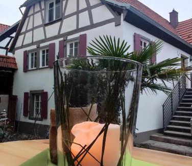 Ilbesheim House | Hofgarten Rosa