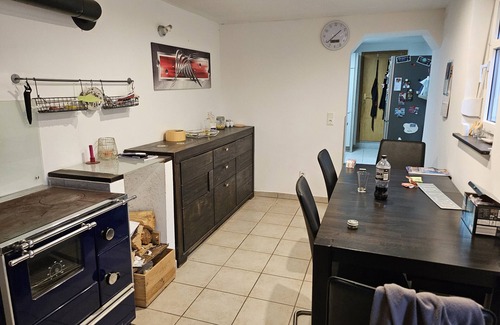 Bad Koenigshofen I. Grabfeld House | Holiday Home 'Haus Wagner with Swimming Pond' with Private Terrace, Shared Garden and Wi-Fi