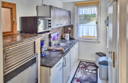 Schleusegrund House | Holiday home with balcony & garden Thuringia