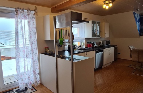 Lauda Apartment | Holiday Apartment Pflüger with Private Terrace and Wi-Fi