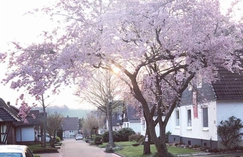 Uslar Apartment | Holiday apartment Uslar for 1 - 4 persons with 2 bedrooms - Holiday apartment