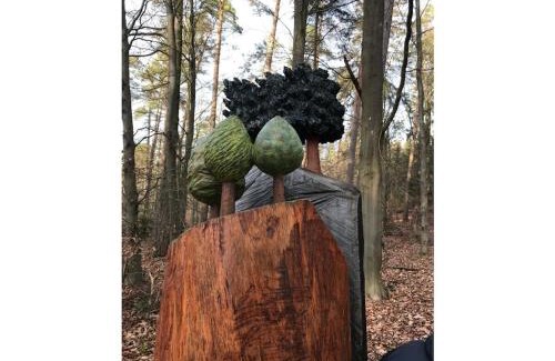 Morschen House | Holiday apartment with 2 bedrooms