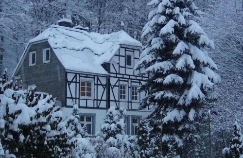 Siedlinghausen House | Holiday home Haus am Anger