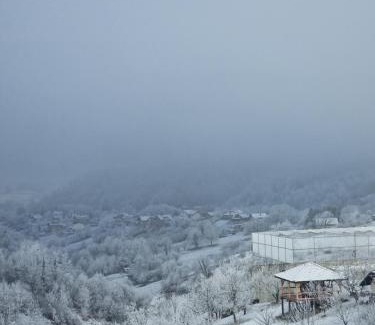 Gornja Stubica House | Holiday home Hižica v plavem trnacu