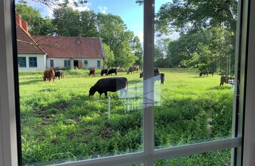 Norddeich House | Holiday Home 'Immerlicht Norddeich S-H' with Private Terrace, Private Garden and Wi-Fi