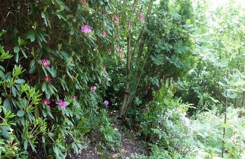 Busterbach House | Holiday Home 'Lena' with Private Terrace, Private Garden and Wi-Fi