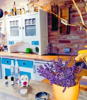 Erdut House | Holiday Home Paunovaca