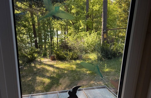 Schenkendobern House | Holiday Home 'Seeblick' with Lake View, Private Terrace and Private Garden