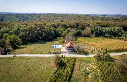 Kobasicari House | Holiday home Villa Antique