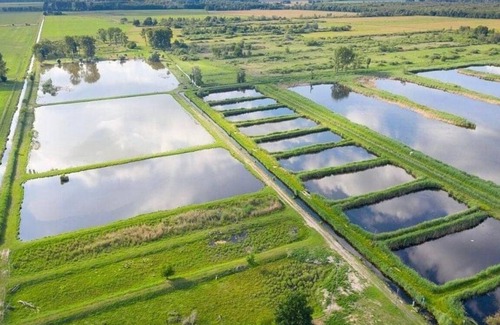 Oberhavel House | Holiday house Kremmen for 1 - 10 persons with 2 bedrooms - Holiday home