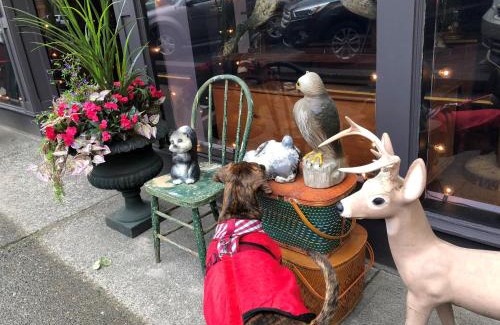 Heritage Downtown Hotel | Holiday House Motel