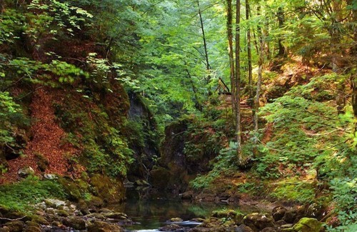 Vrbovsko House | Holiday house Vrbovsko for 1 - 10 persons with 5 bedrooms - Holiday house