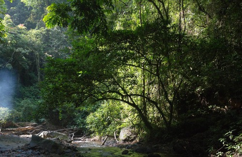 Bohorok House | Holiday rental in Sumatra