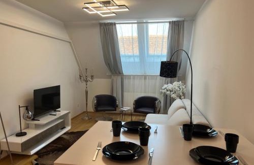 Hartberg Apartment | "Home-Suite-Home" im historischen Zentrum von Hartberg