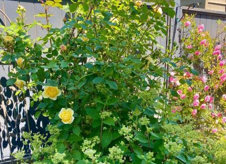 Richmond House | Home sweet home