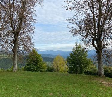 Zumarraga Apartment | HomeOffice with Church Views