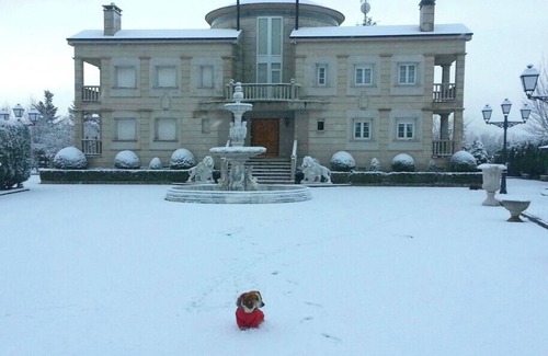 Almazcara House | Homerez - Spacious house with pool and garden in Congosto