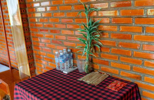 Nam Cat Tien Bed & Breakfast | Homestay Dream hill