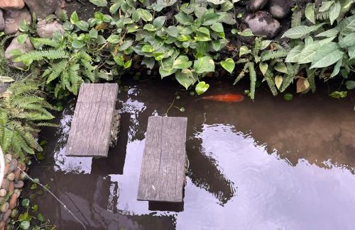 An Phu House | Homestay - HO CHI MINH CITY - Quận 2 - An phú - p1