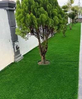 Teriang House | Homestay Triang