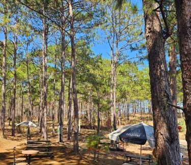 Bao Lam Other | Homestay Vườn An Nhiên