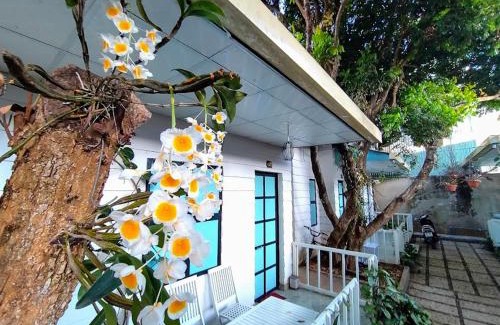 Pleiku House | Homestay Vườn nhãn