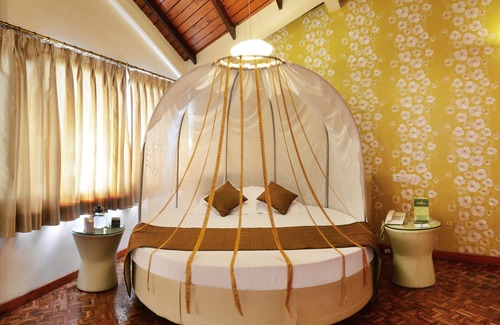 Shimla Hotel | Honeymoon Inn