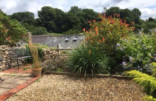 France Lynch House | Hope Cottage