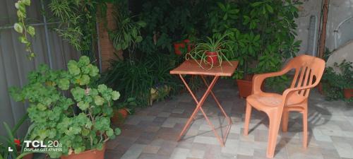 Almafuerte House | Hospedaje LA LUCIA